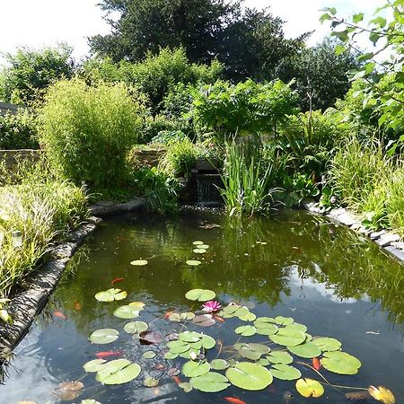 Bed and Breakfast Liongate House Ilchester Esterno foto